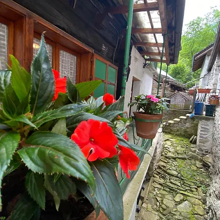 Lo Chalet Del Borgo * Anzino